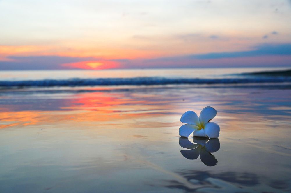 Photograph by Людмила Аксенова