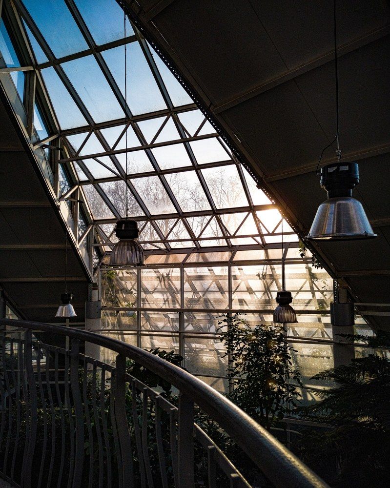 Photograph by Катерина Дорошевич