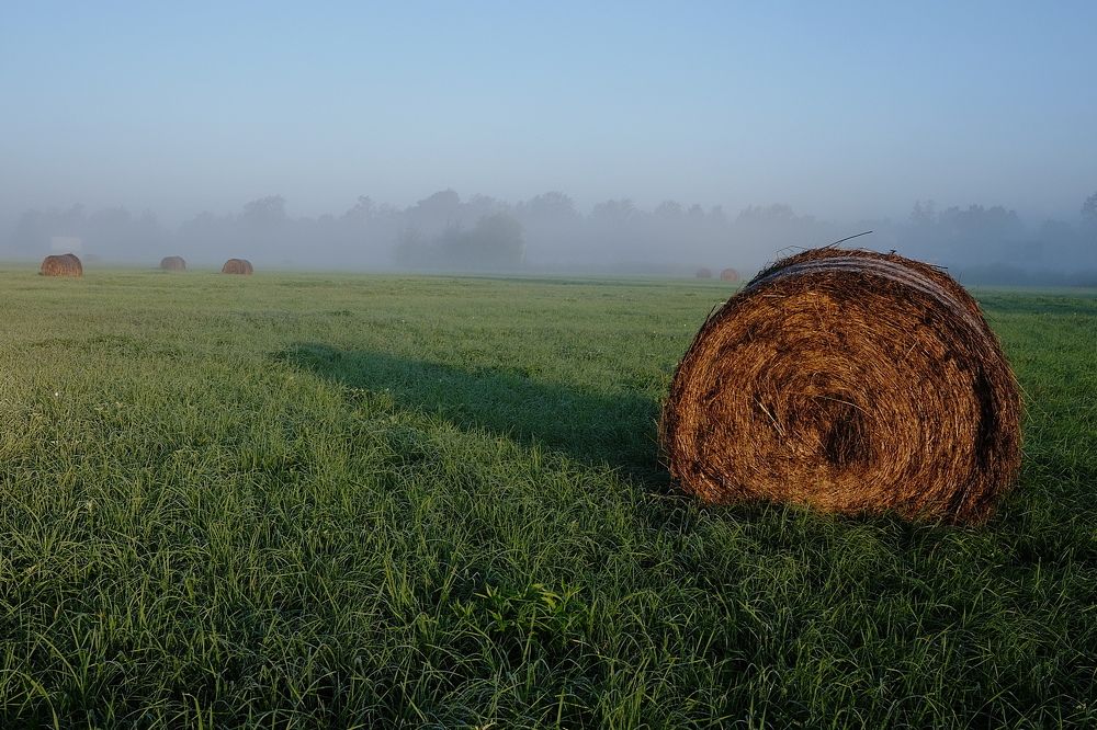 Photograph by Сэрж По