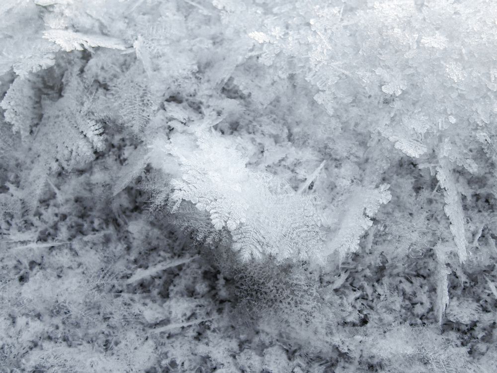 Photograph by Карина Заводчикова