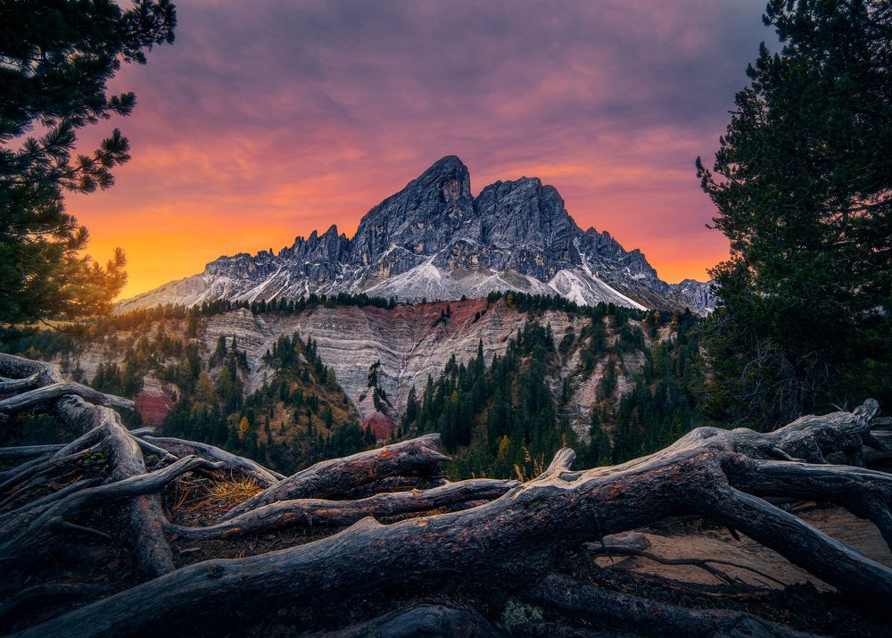 Photograph by Ján Ilkovič