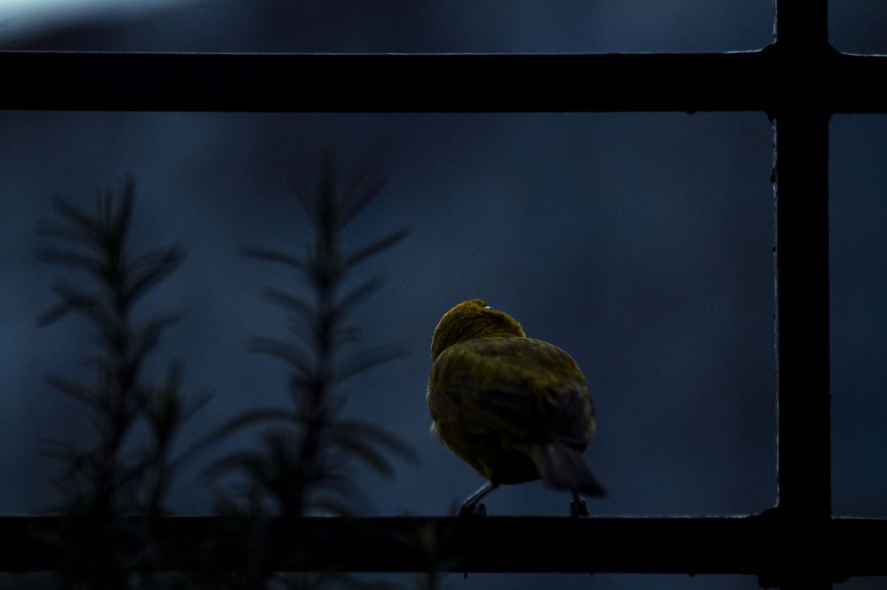 Seeing the dawning time by a invasive view.