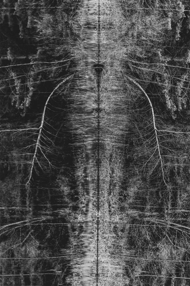 Фотография автора Emilia Szotko