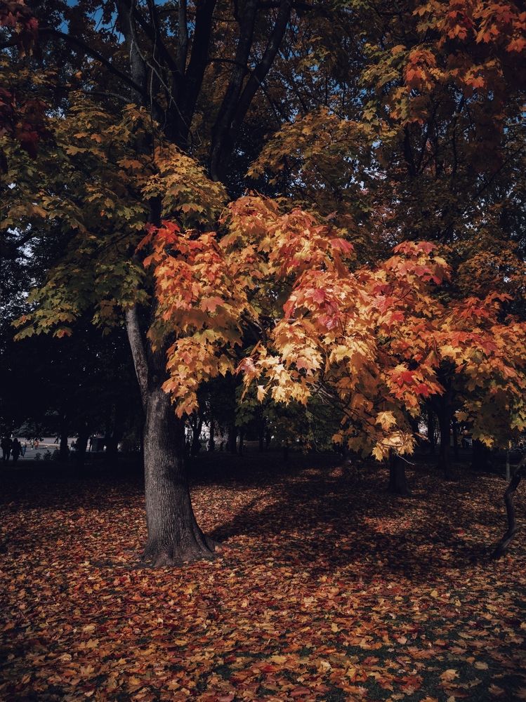 Photograph by Катерина Дорошевич