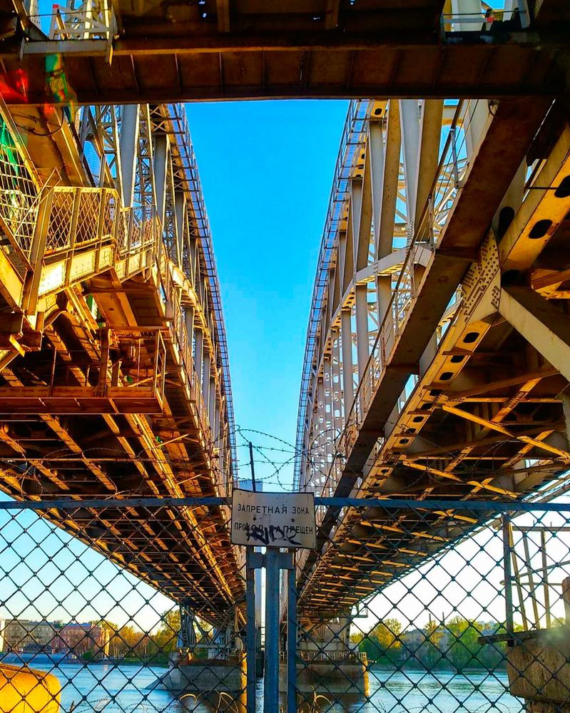 Фотография автора Марина Алексеевская