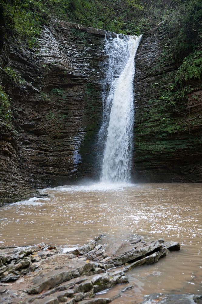 Photograph by Оксана Тонкошкурая