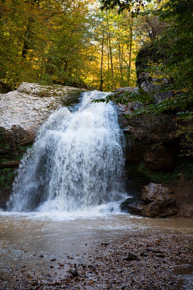 Photograph by Оксана Тонкошкурая