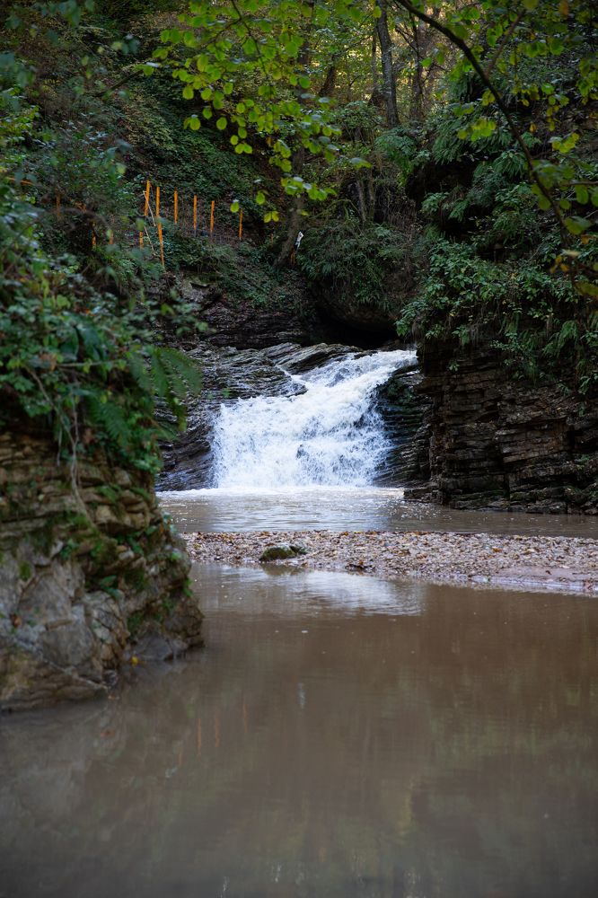 Photograph by Оксана Тонкошкурая