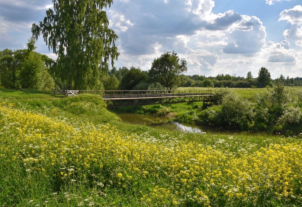 Photograph by Алина Голубева