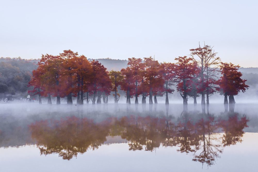 Photograph by Sergey Lexin