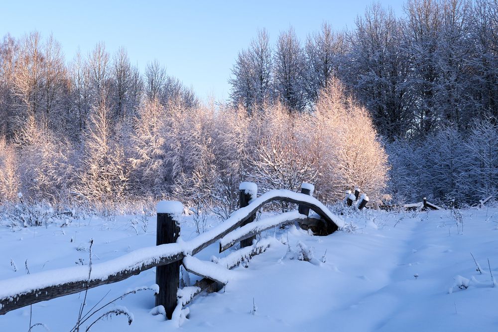 Photograph by Андрей Колеватов