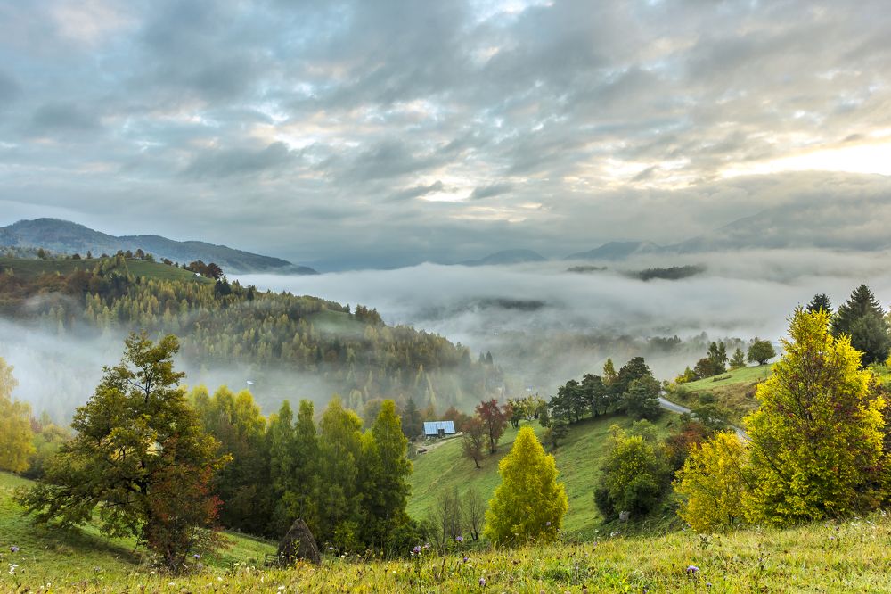 Фотография автора Comșa Bogdan