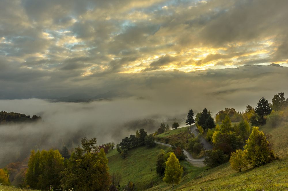 Фотография автора Comșa Bogdan
