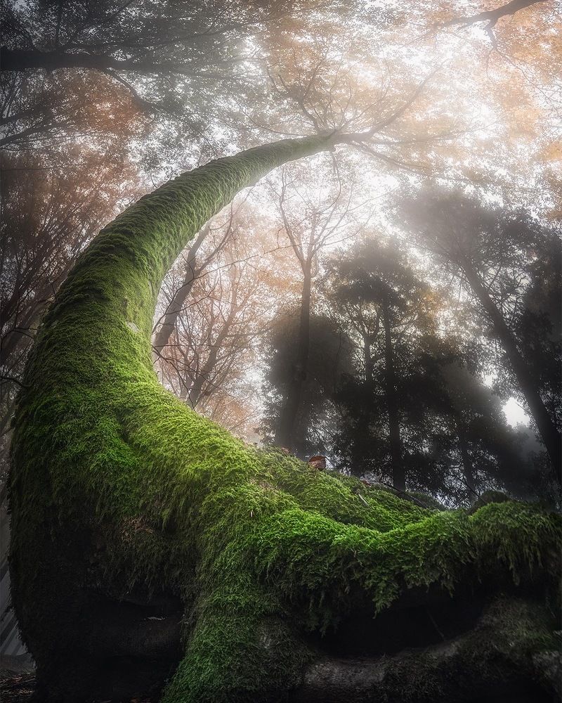 Photograph by Manuelo Bececco