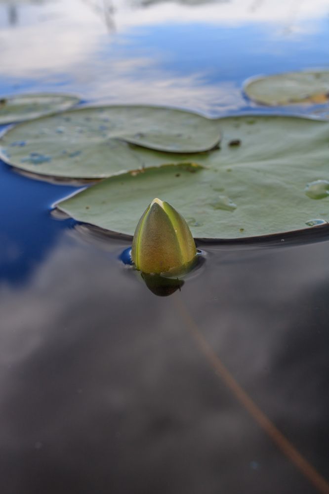 Photograph by Никита Луферов
