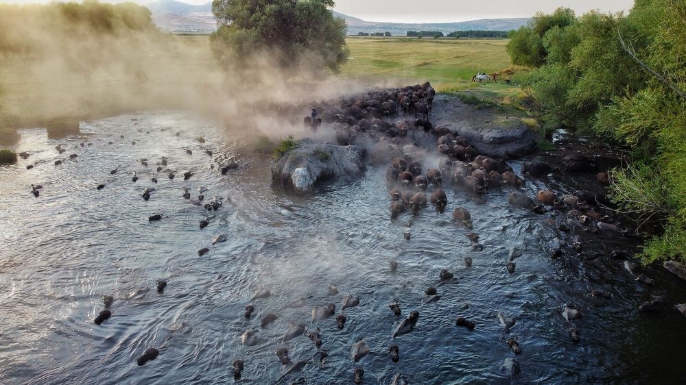 Photograph by Ercan Ozturk