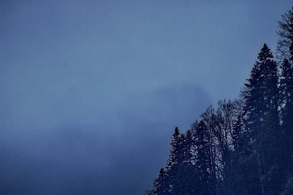 Photograph by Roman Popov