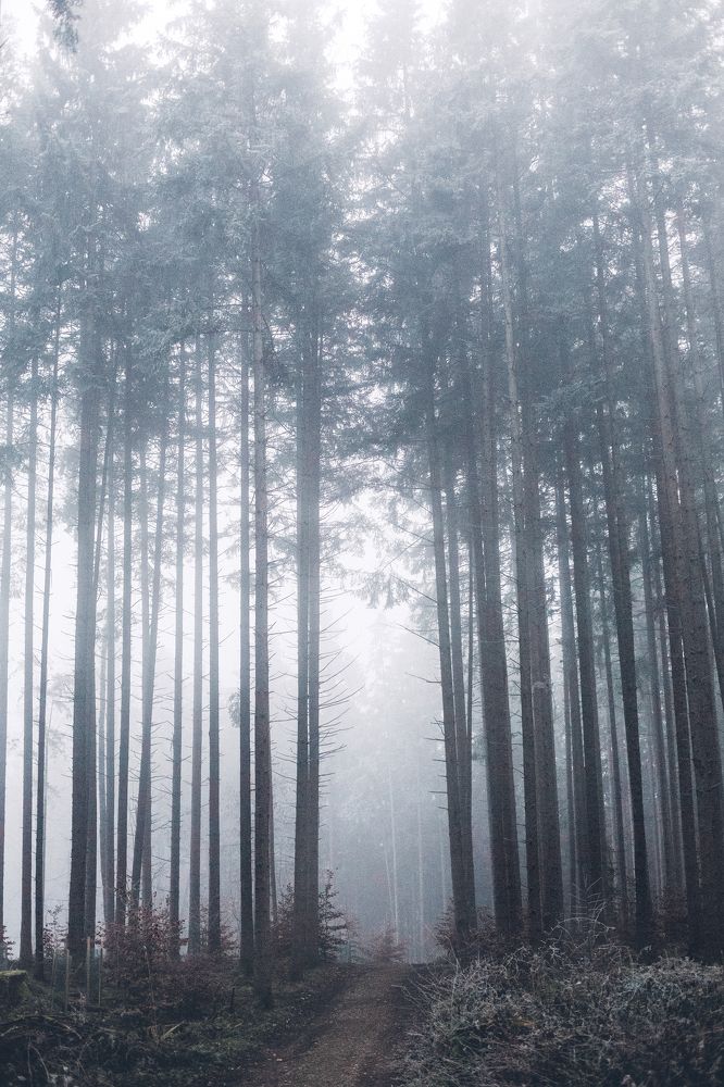 Photograph by Александра Гревцева