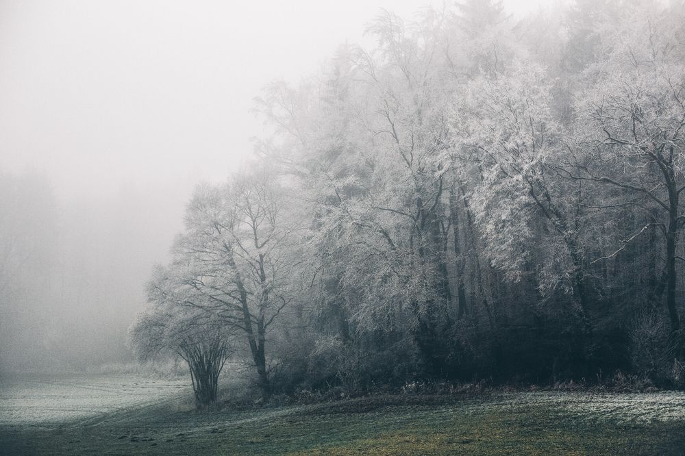 Photograph by Александра Гревцева