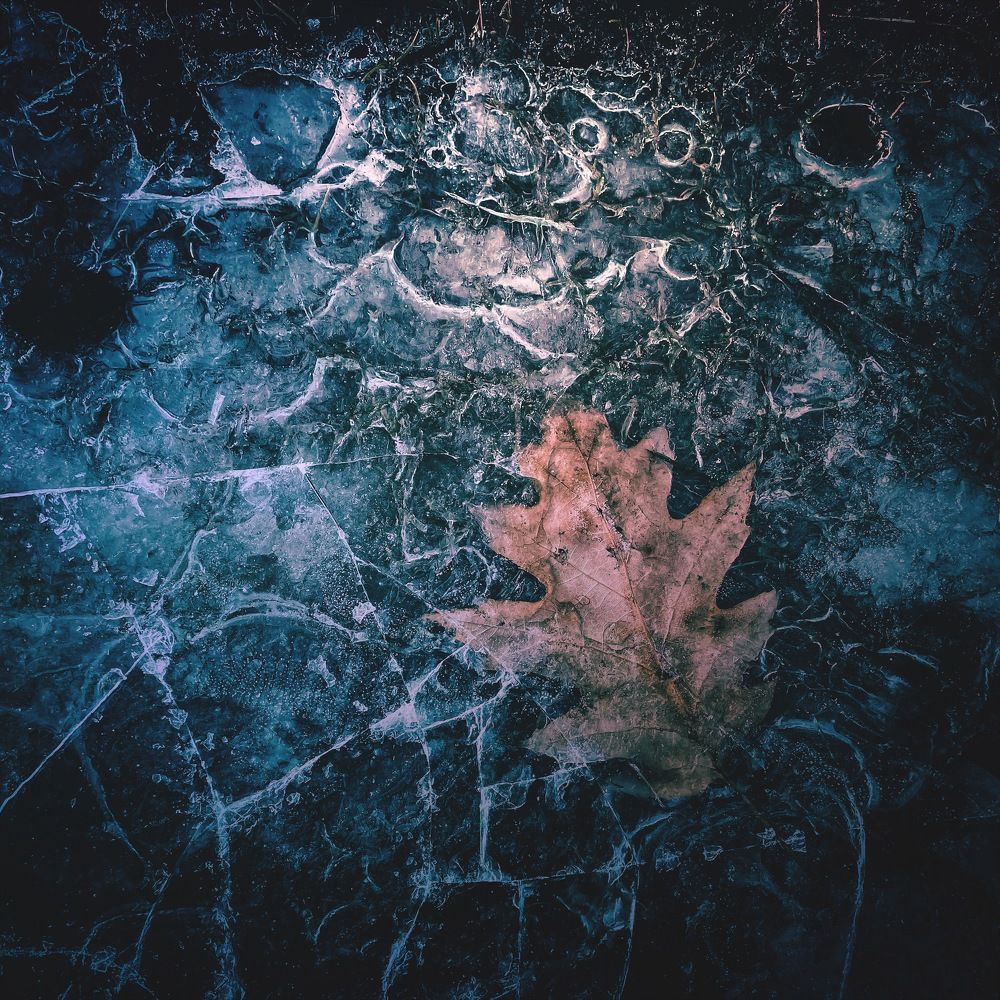 Ледяные эмоции