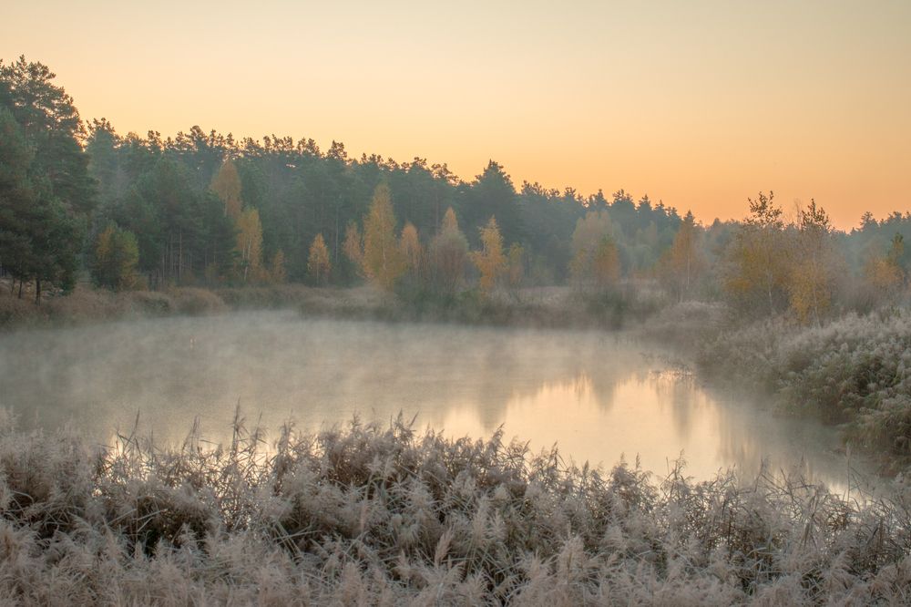 Photograph by Павел Дударев