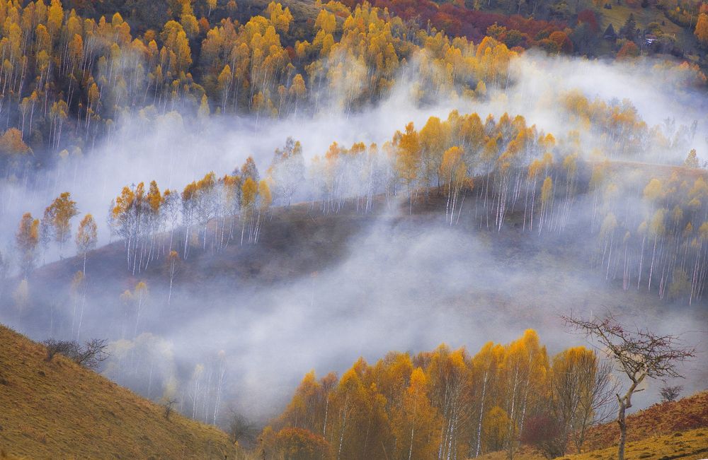 Photograph by Constantin Lazar