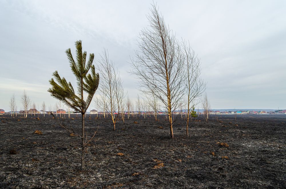 Photograph by Денис Кичев