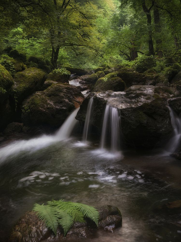 Фотография автора Ali Rouhi