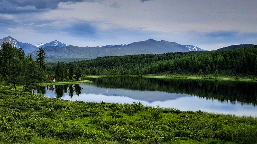 Photograph by Ксения Моськина