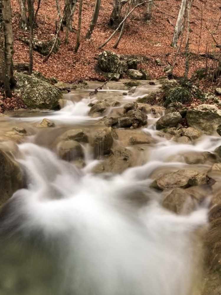 Photograph by Виктория Сметанина