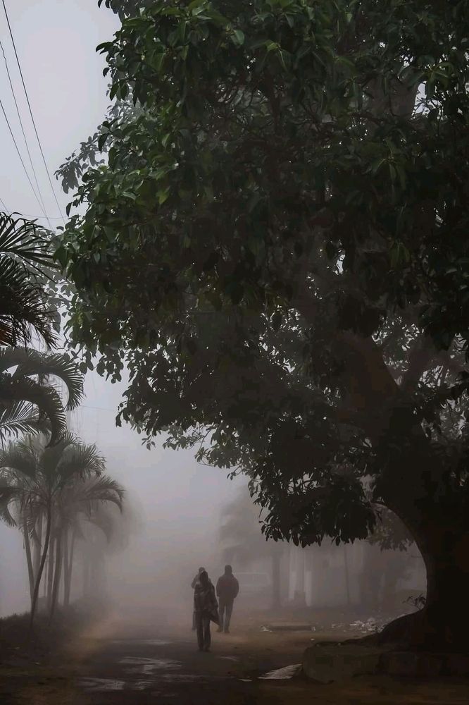 Photograph by Dipayan Debbarma