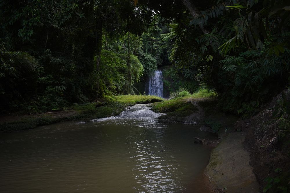 Photograph by Dipayan Debbarma