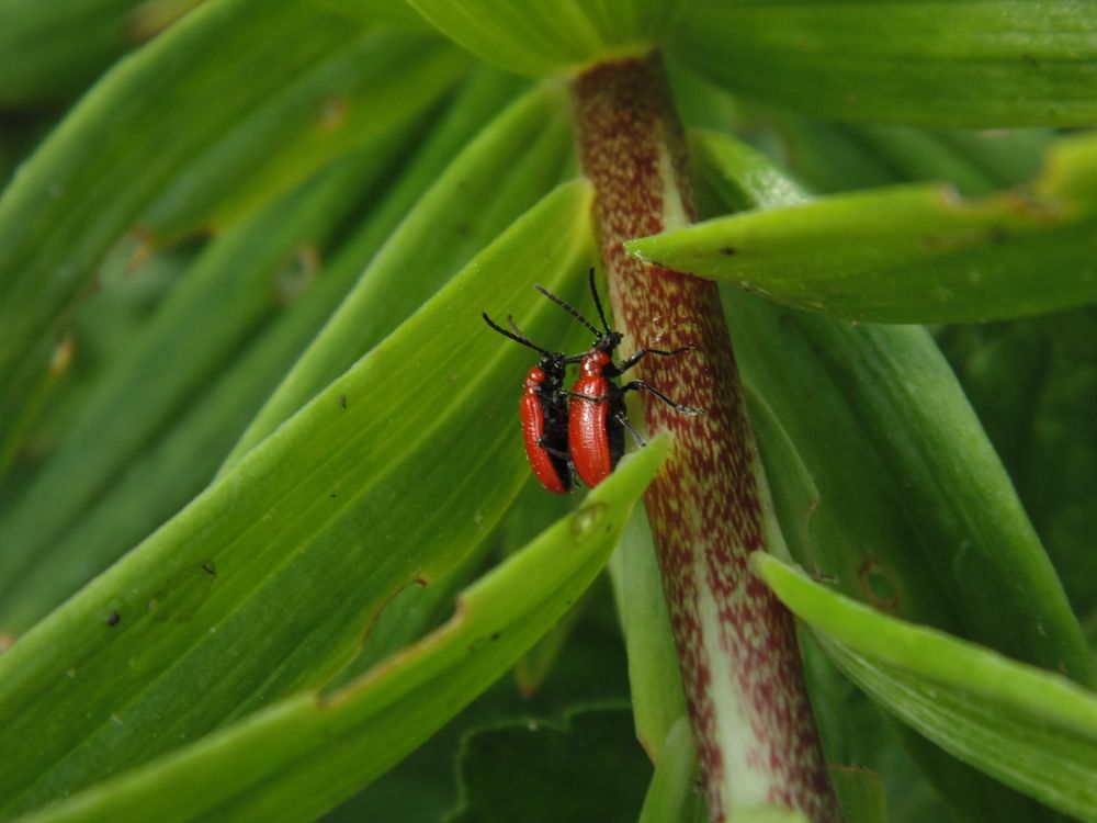 Photograph by Екатерна