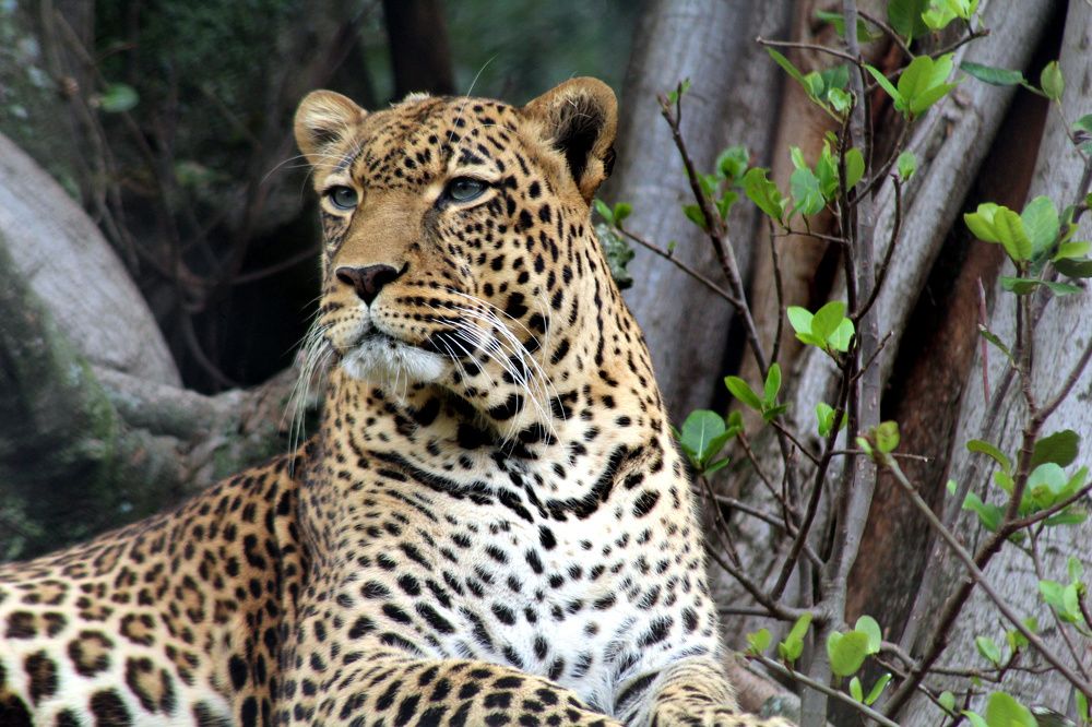 Photograph by Mackton Kipsang