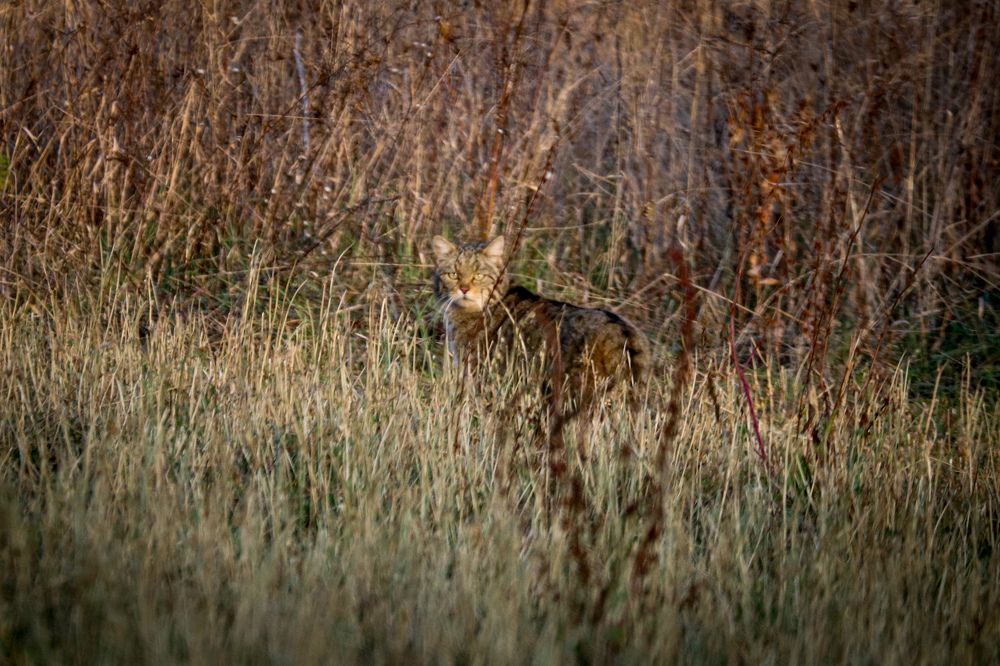Photograph by George Alexandru Ghiuro