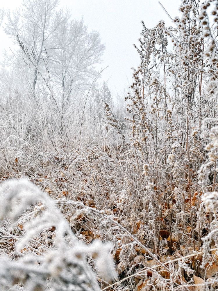 Photograph by Татьяна Тимошенко