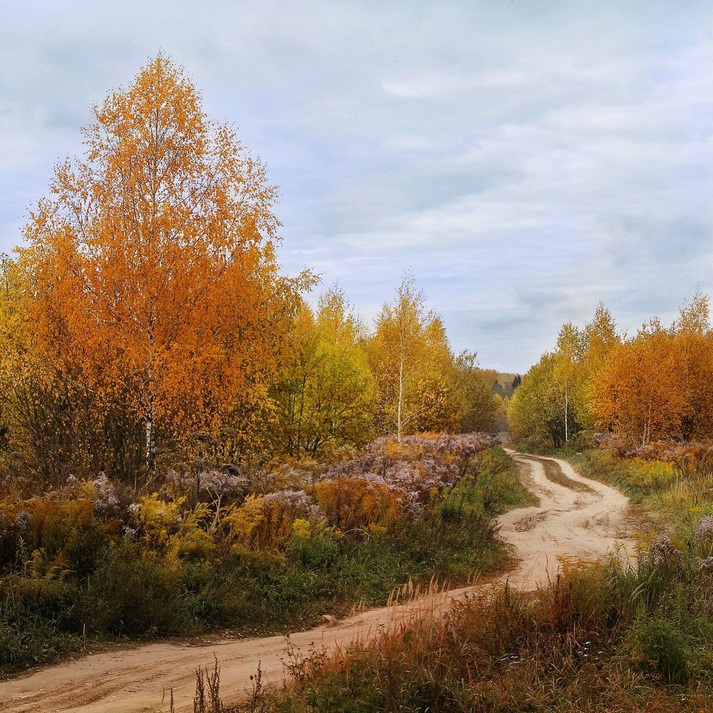 Photograph by Елена Кондратьева