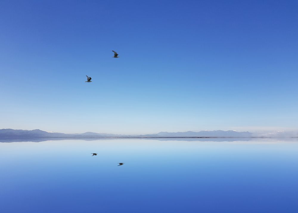 Only blue