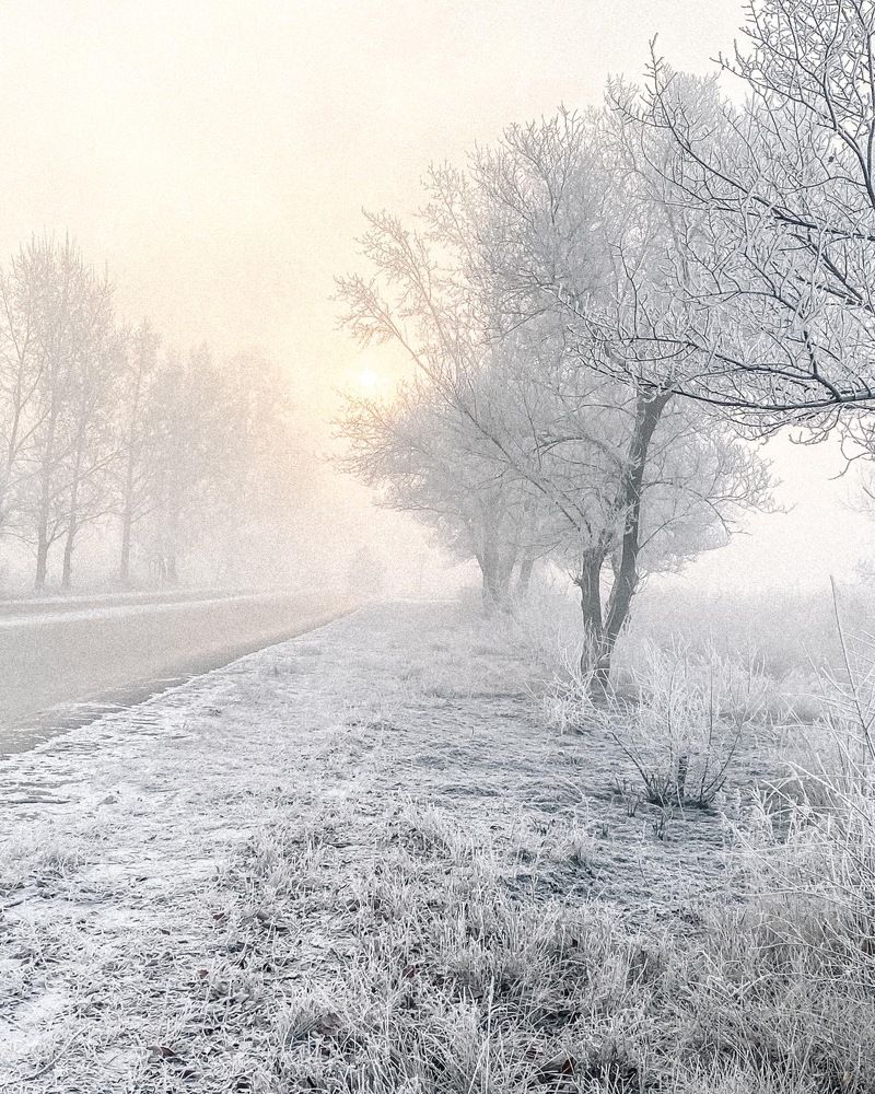 Photograph by Татьяна Тимошенко