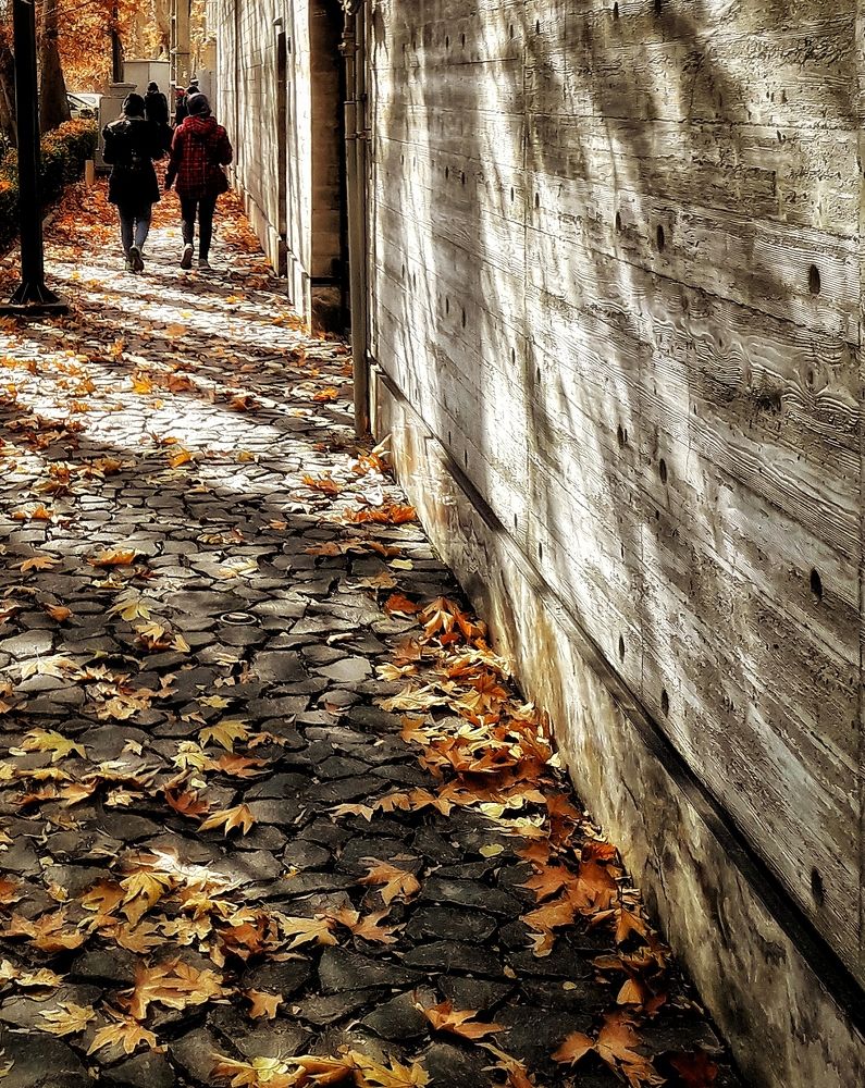 Photograph by Abolfazl Shahmiry