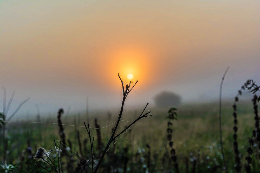 Фотография автора Сергей Сморчков