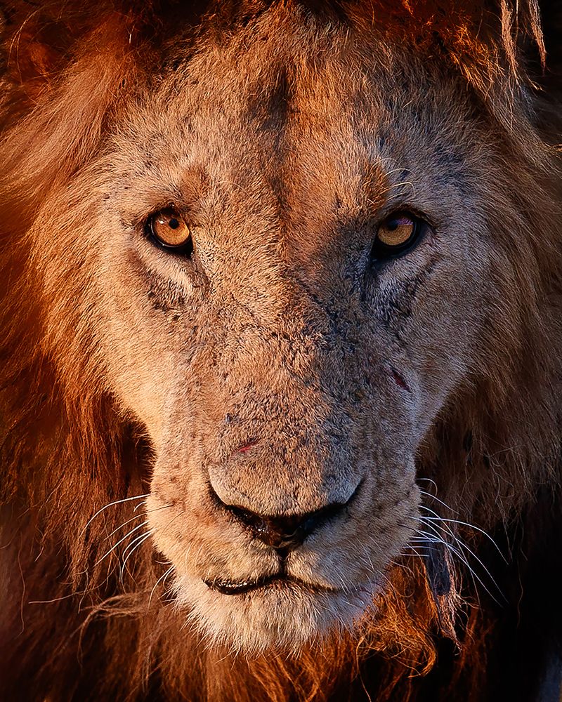 Photograph by Amir Khatri