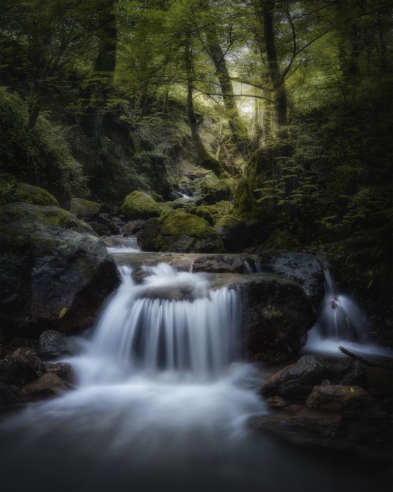 Photograph by Shahram Hafezi