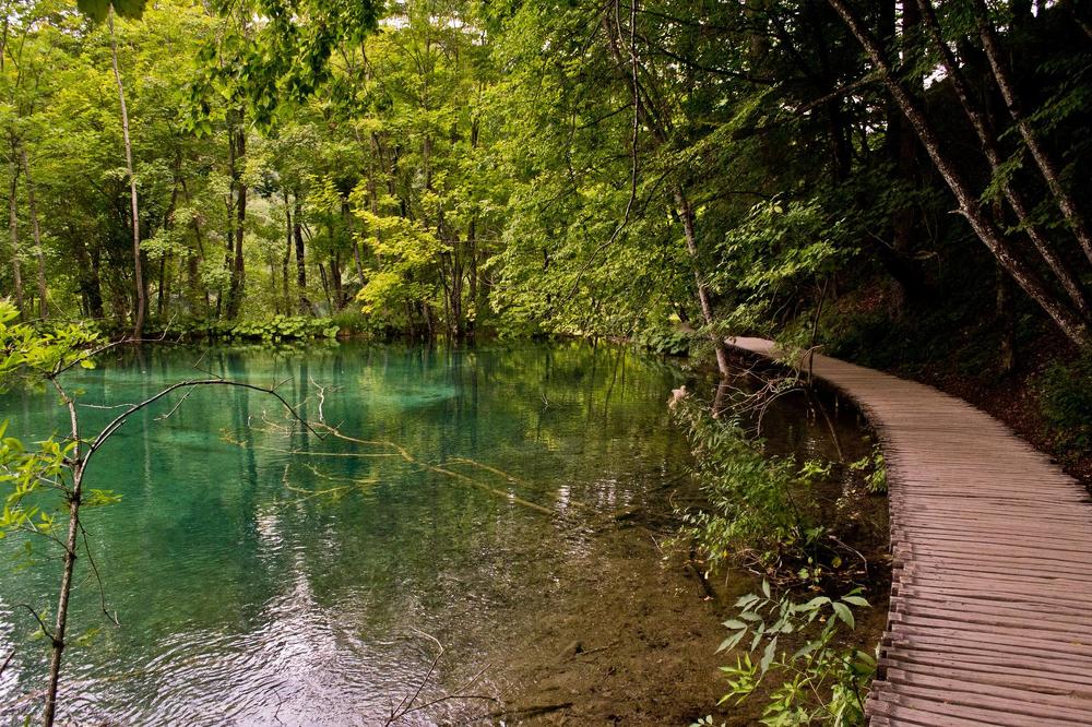 Photograph by Kecskés Beáta