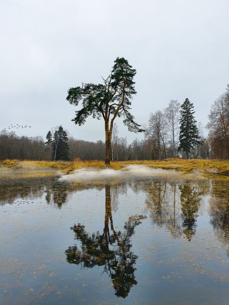 Photograph by Владислав Данилов