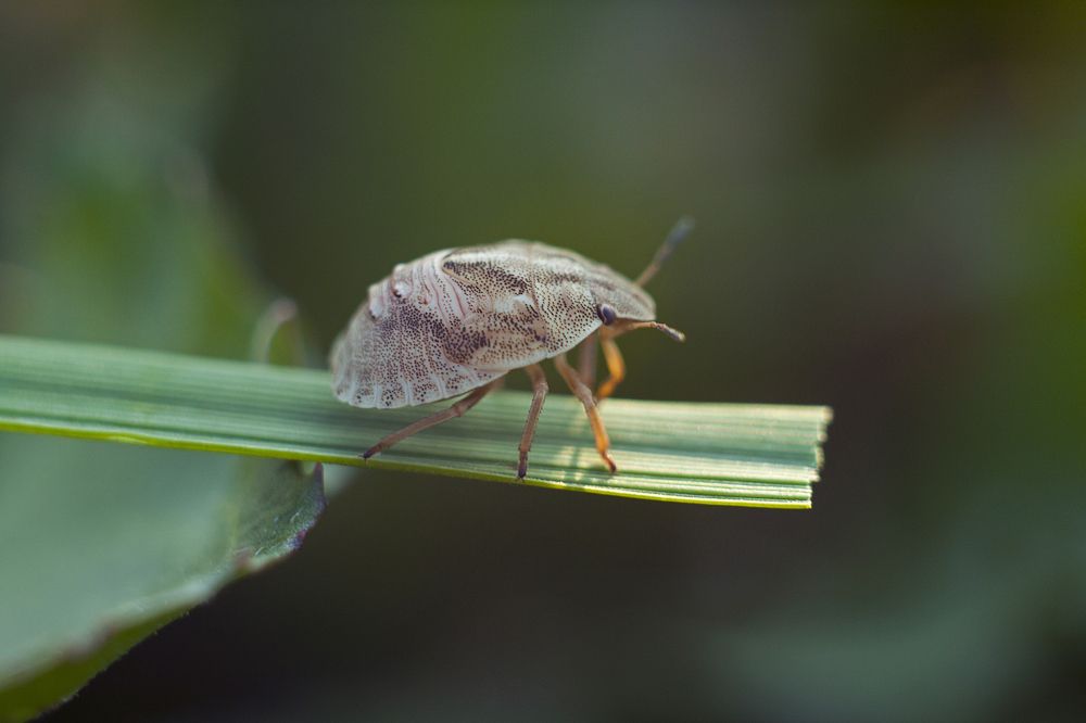 Photograph by Николай Носков