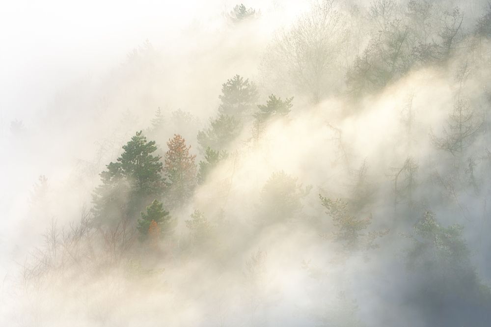 Фотография автора Martin Morávek