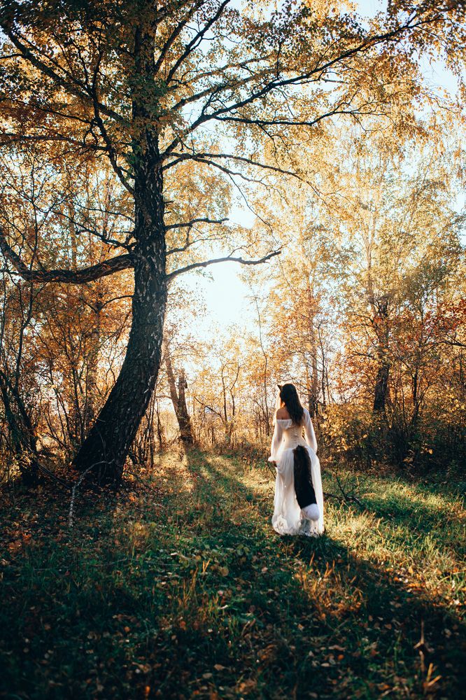 История одной охоты