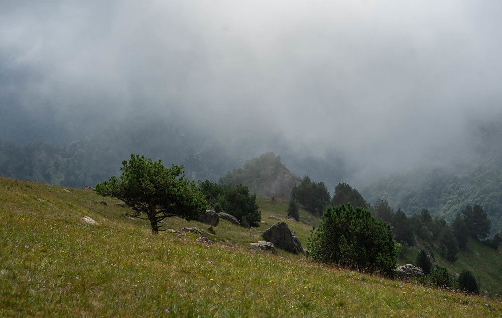 Photograph by Ирина Умиленко