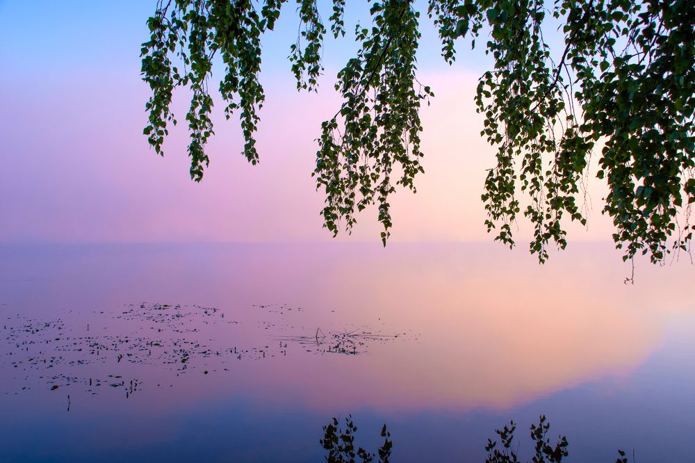 Photograph by Tanya Gracheva